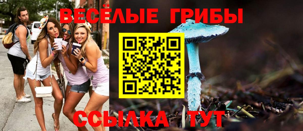 Галлюциногенные грибы ЛСД  Псилоцибиновые грибы GOLDEN TEACHER  Вход с VPN  Кыштым 